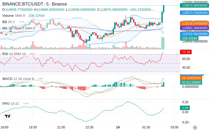 🚀 $TOMI SuperApp early access!