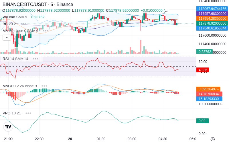🚀 $TOMI SuperApp early access!