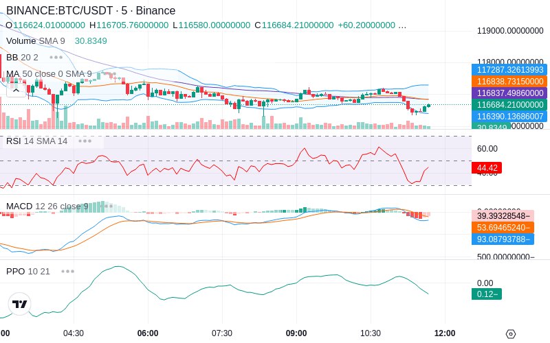 🚀 $TOMI SuperApp early access!