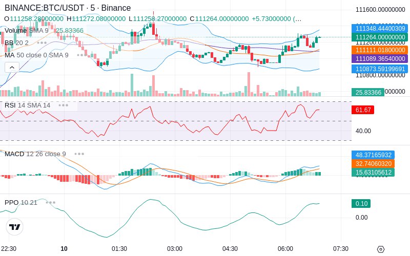 🚀 $TOMI SuperApp early access!