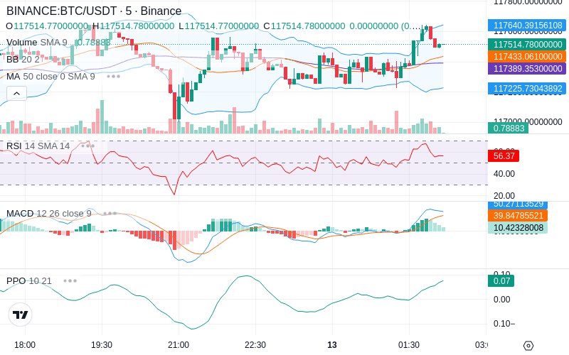 🚀 $TOMI SuperApp early access!
