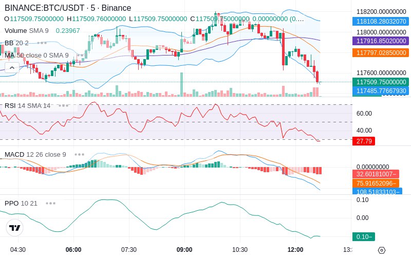 🚀 $TOMI SuperApp early access!