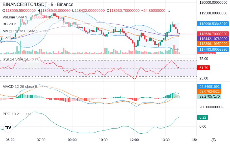 🚀 $TOMI SuperApp early access!