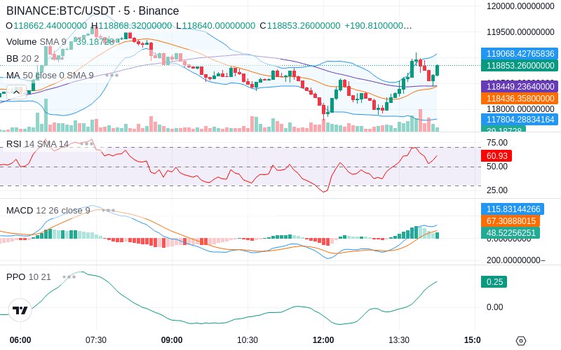 🚀 $TOMI SuperApp early access!