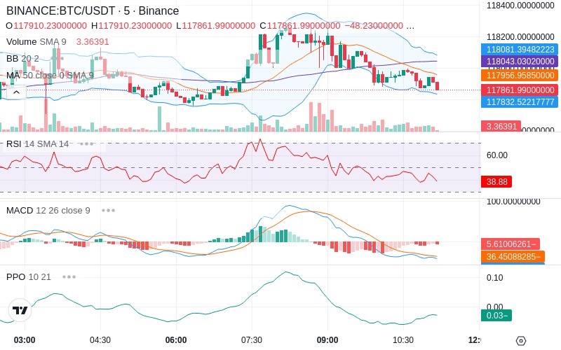 🚀 $TOMI SuperApp early access!