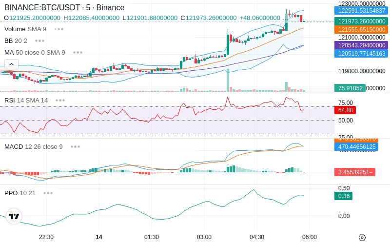 🚀 $TOMI SuperApp early access!