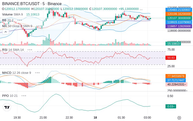 🚀 $TOMI SuperApp early access!