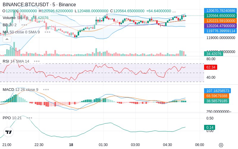 🚀 $TOMI SuperApp early access!