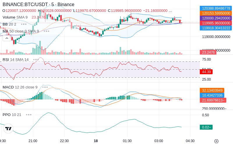 🚀 $TOMI SuperApp early access!