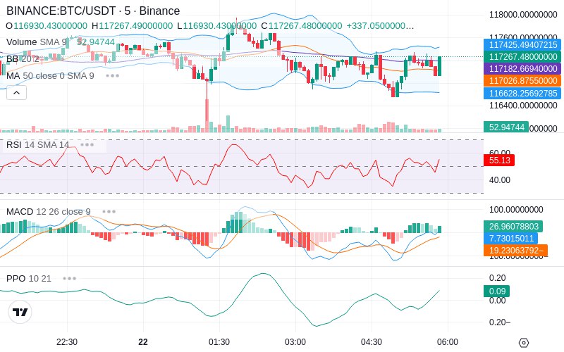 🚀 $TOMI SuperApp early access!