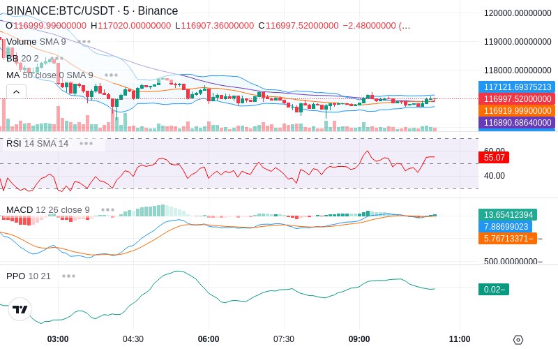 🚀 $TOMI SuperApp early access!