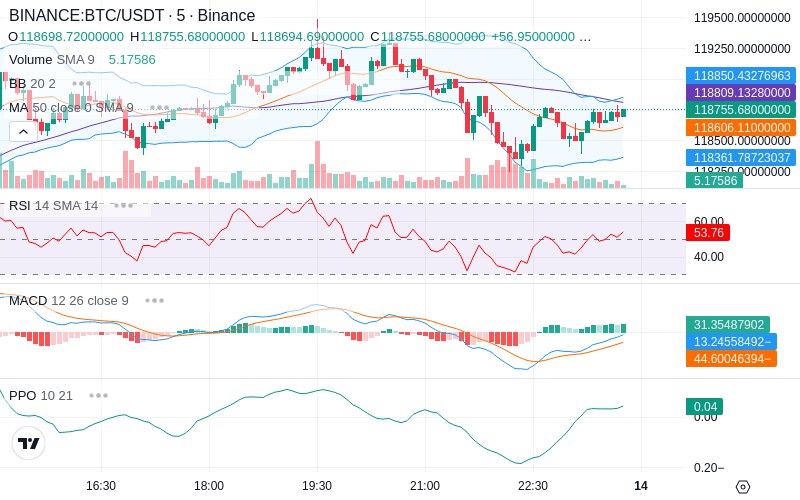 🚀 $TOMI SuperApp early access!