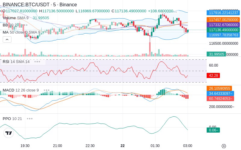 🚀 $TOMI SuperApp early access!