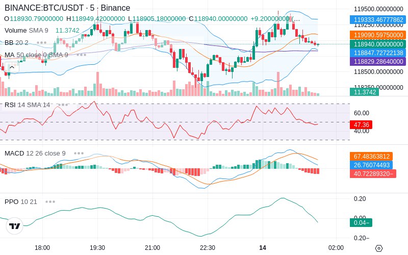 🚀 $TOMI SuperApp early access!