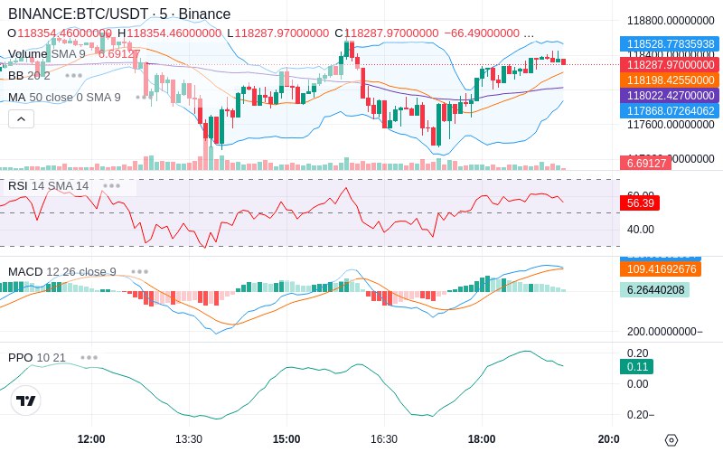 Leverage Your Profits🚀