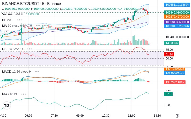 🚀 $TOMI SuperApp early access!