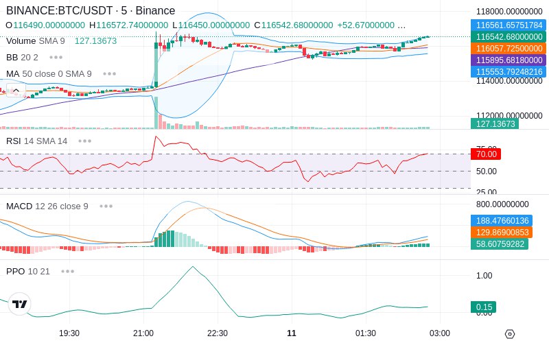 🚀 $TOMI SuperApp early access!