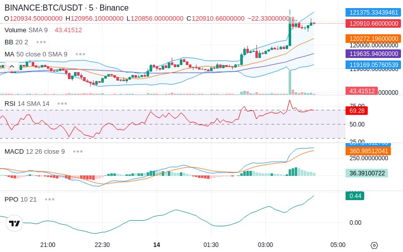 🚀 $TOMI SuperApp early access!