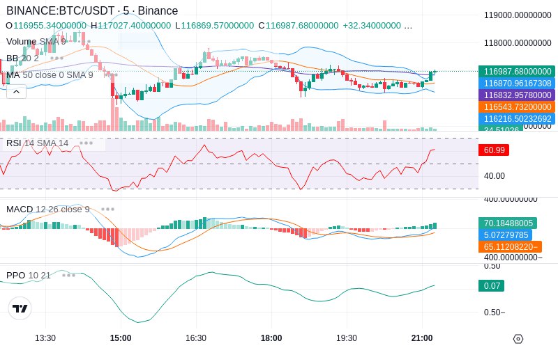 🚀 $TOMI SuperApp early access!
