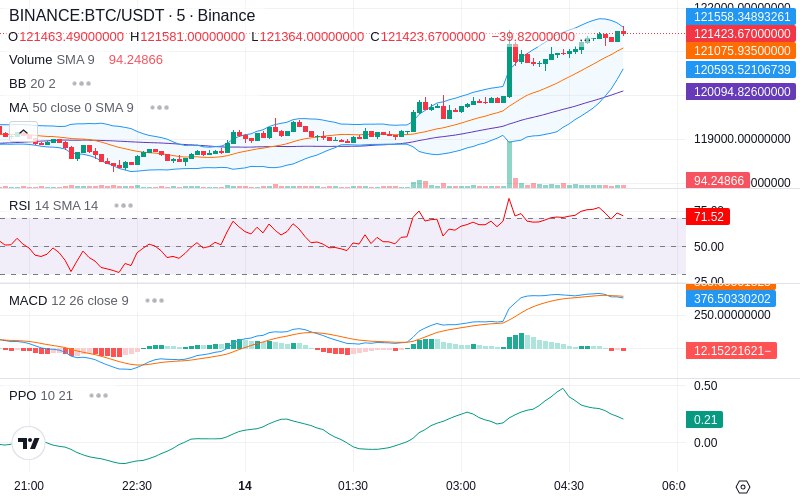 🚀 $TOMI SuperApp early access!