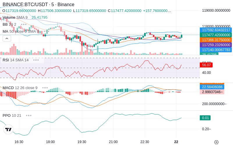 🚀 $TOMI SuperApp early access!