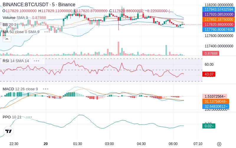 🚀 $TOMI SuperApp early access!