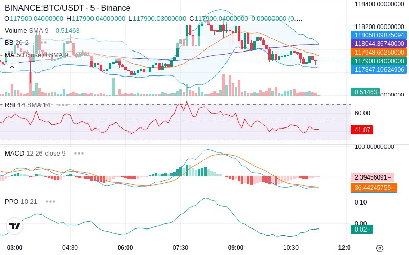 🚀 $TOMI SuperApp early access!