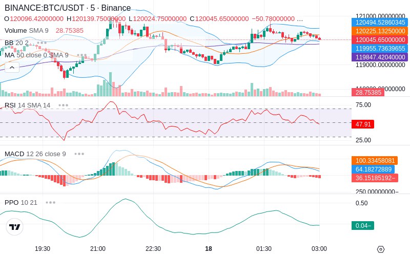🚀 $TOMI SuperApp early access!