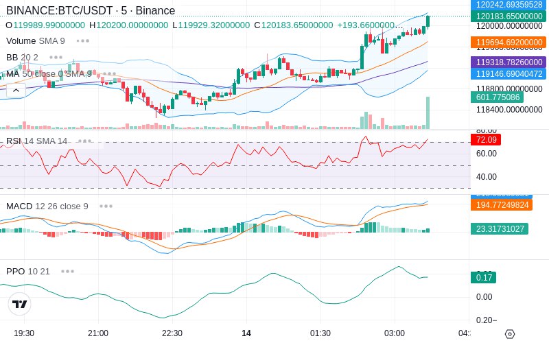 🚀 $TOMI SuperApp early access!