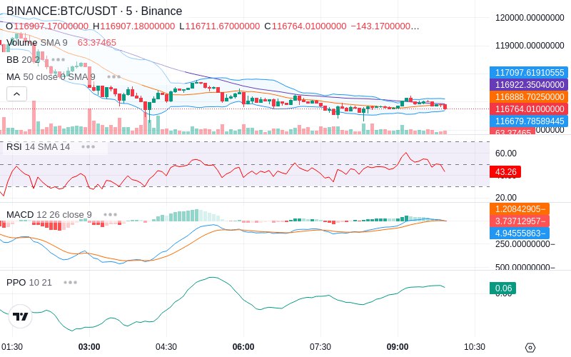 🚀 $TOMI SuperApp early access!