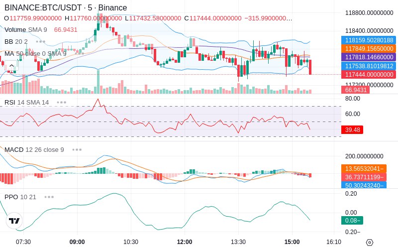 🚀 $TOMI SuperApp early access!
