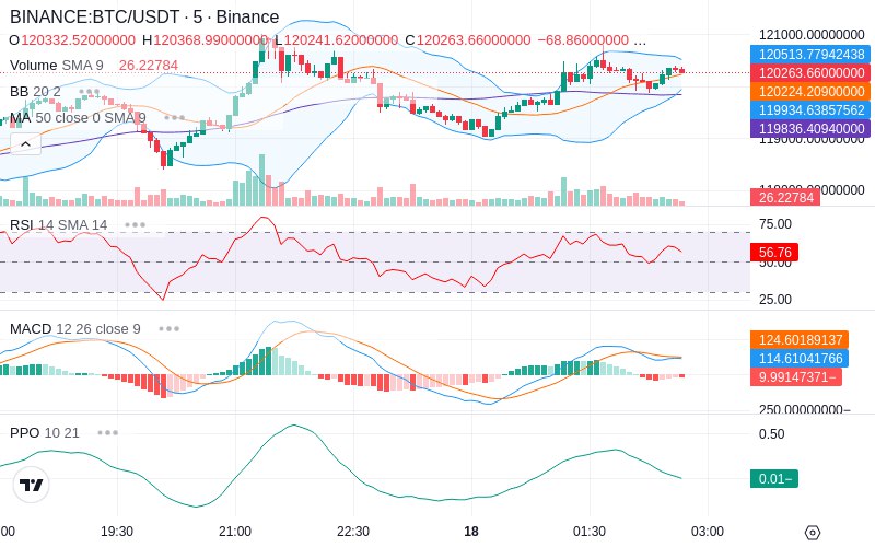 🚀 $TOMI SuperApp early access!