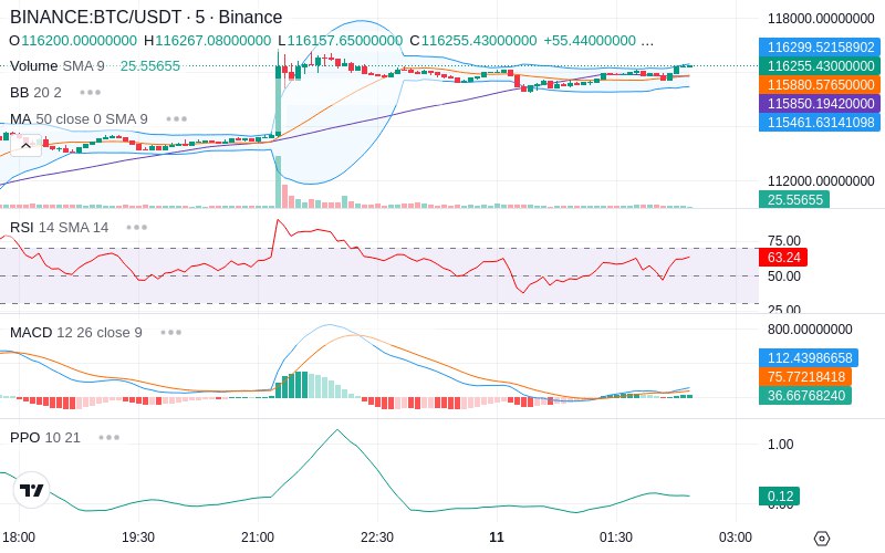 🚀 $TOMI SuperApp early access!