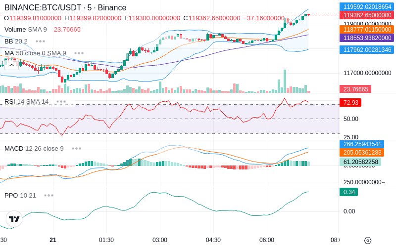 🚀 $TOMI SuperApp early access!
