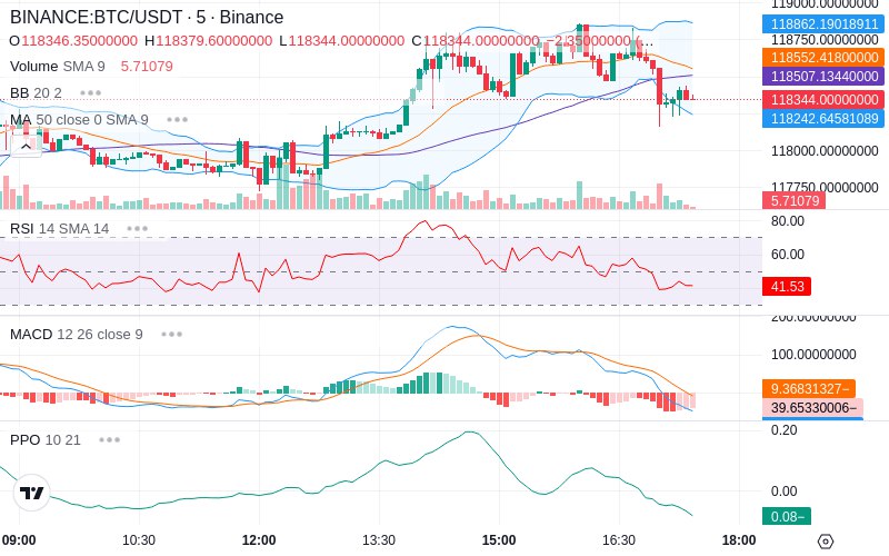 🚀 $TOMI SuperApp early access!
