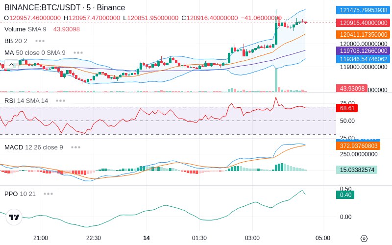 🚀 $TOMI SuperApp early access!