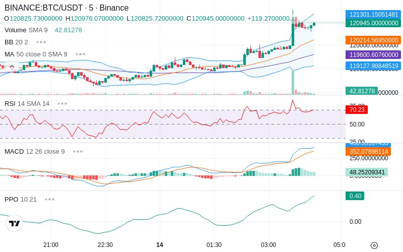 🚀 $TOMI SuperApp early access!