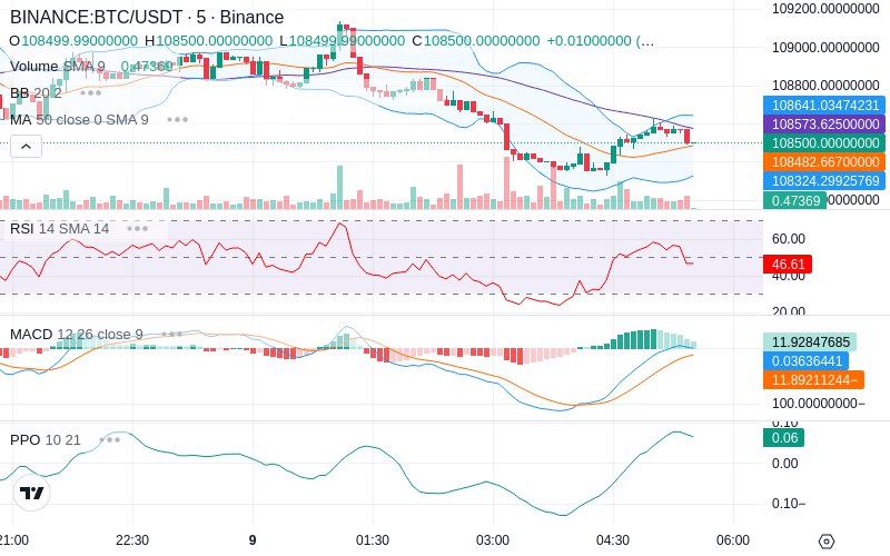 🚀 $TOMI SuperApp early access!