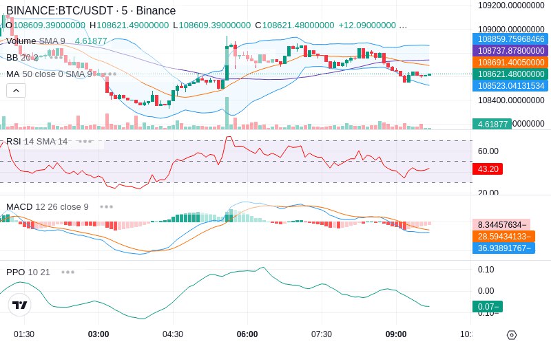 🚀 $TOMI SuperApp early access!