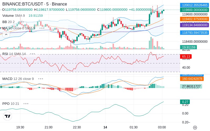 🚀 $TOMI SuperApp early access!