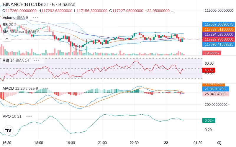 🚀 $TOMI SuperApp early access!