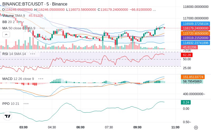 Rent this Ad Spot✨