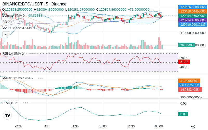 🚀 $TOMI SuperApp early access!