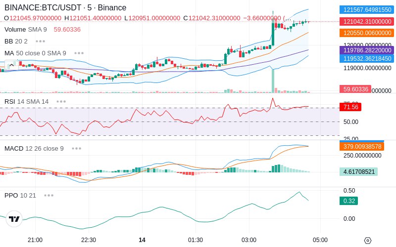 🚀 $TOMI SuperApp early access!