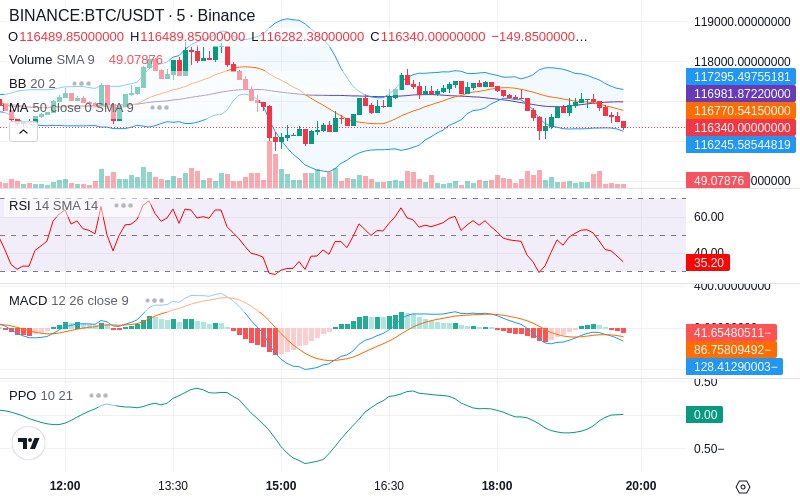 🚀 $TOMI SuperApp early access!