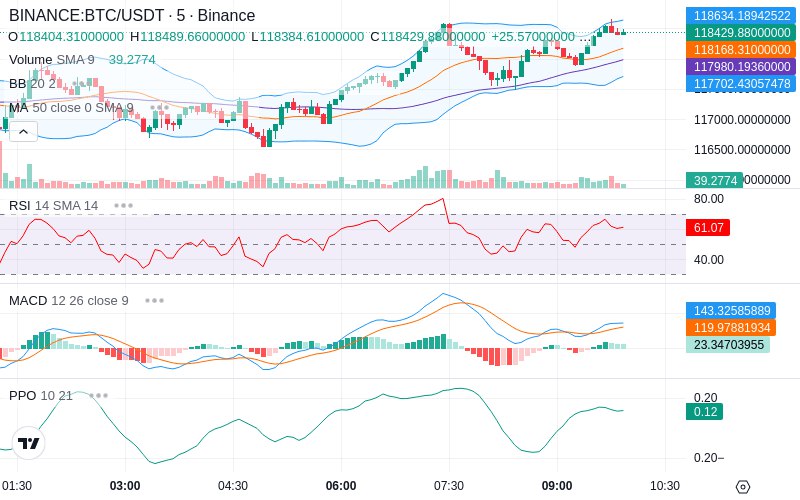 🚀 $TOMI SuperApp early access!