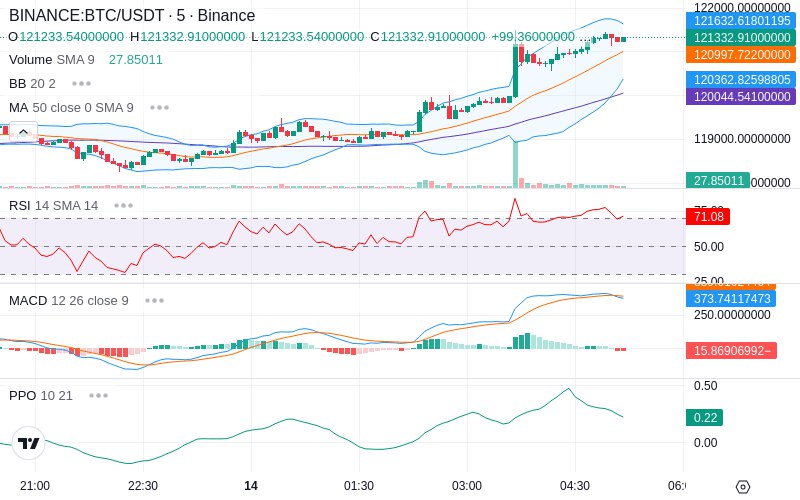 🚀 $TOMI SuperApp early access!