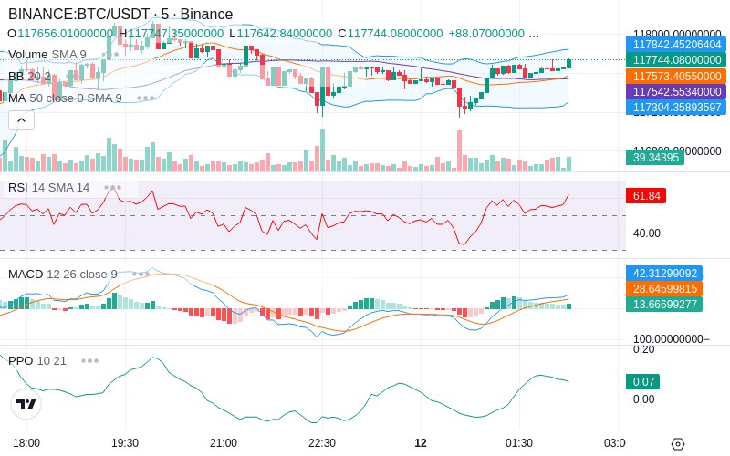 🚀 $TOMI SuperApp early access!