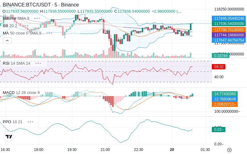 🚀 $TOMI SuperApp early access!