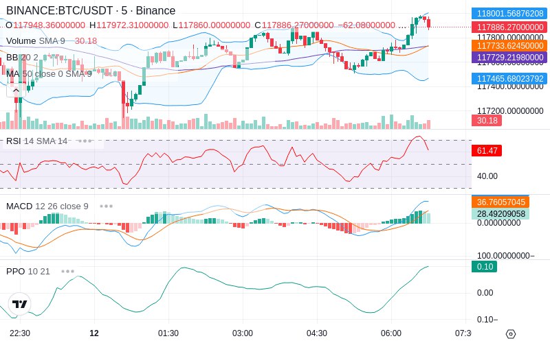 🚀 $TOMI SuperApp early access!